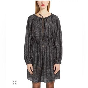 Max Mara Utilita Printed Silk Dress